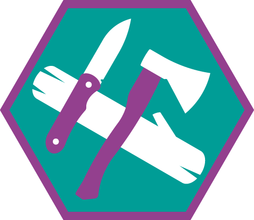 Insigne Houtbewerken Niveau 3