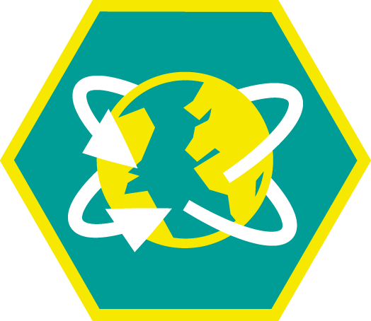 Insigne Internationaal Niveau 1