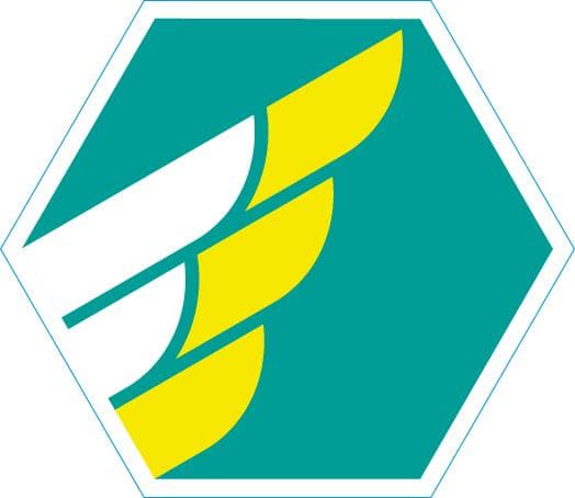 Insigne Lucht Niveau 1