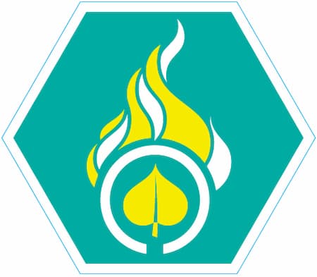 Insigne Vredeslicht Niveau 1