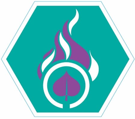 Insigne Vredeslicht Niveau 3